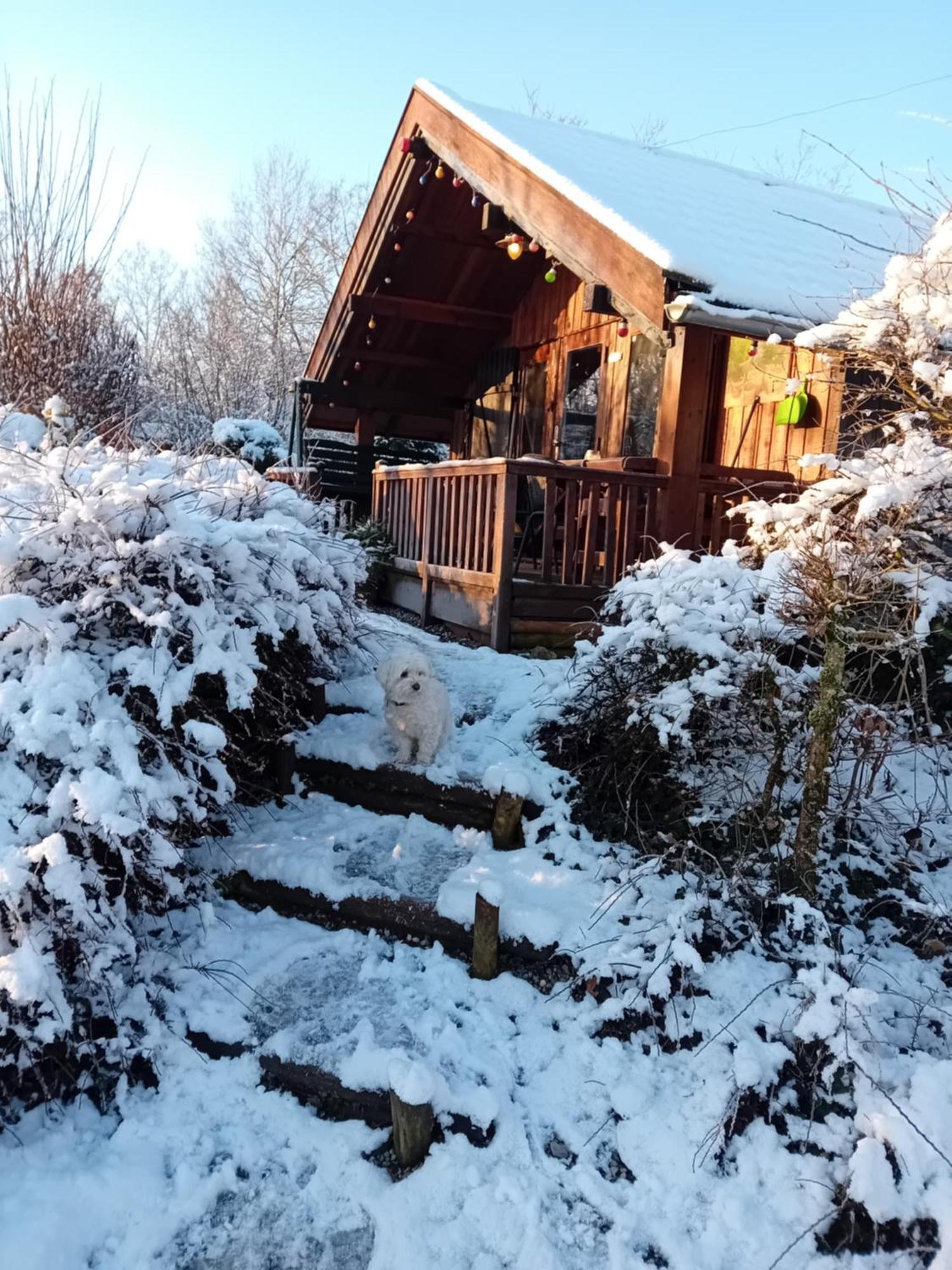 Chalet Barvaux Met Grote Tuin Durbuy Exterior photo